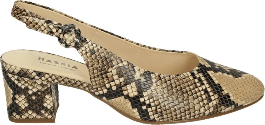 Hassi-A Hassia 304707 RAVENNA Pumps Bruin - Foto 5