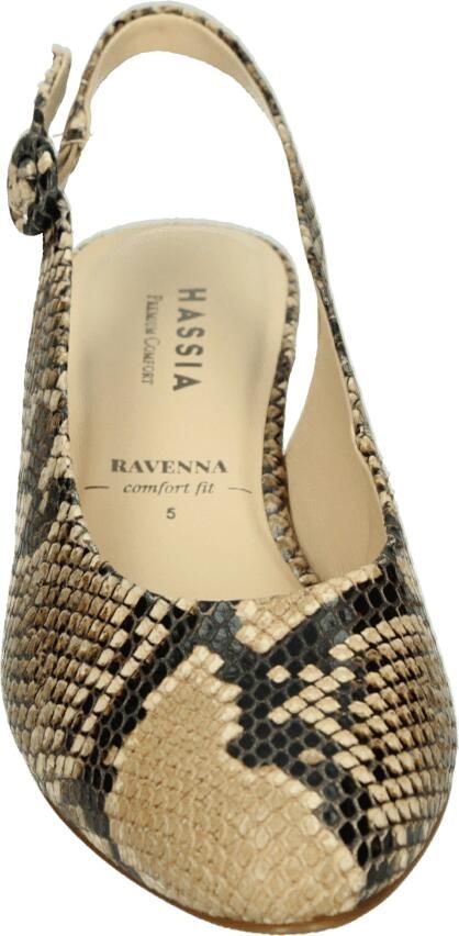 Hassi-A Hassia 304707 RAVENNA Pumps Bruin - Foto 3