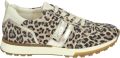 PAUL GREEN Lage Sneakers Dames 5392 Suède Bruin - Bruin