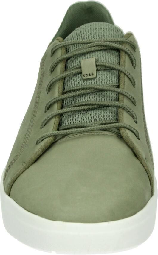 TIMBERLAND Lage Sneakers Heren Seneca Bay Low Leer Groen - Foto 3