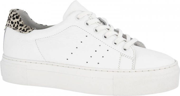 5th Avenue Dames Witte leren sneaker panterprint - Schoenen.nl
