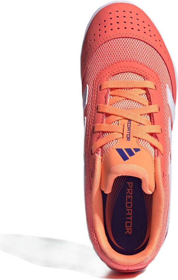 Adidas Perfor ce Predator Club In Sala junior zaalvoetbalschoenen koraalrood wit oranje