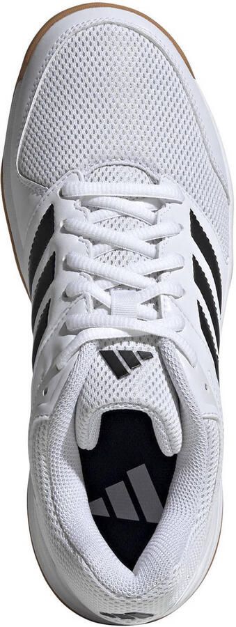 Adidas Performance Zaalschoenen SPEEDCOURT IN geschikt voor elke binnensport - Foto 3