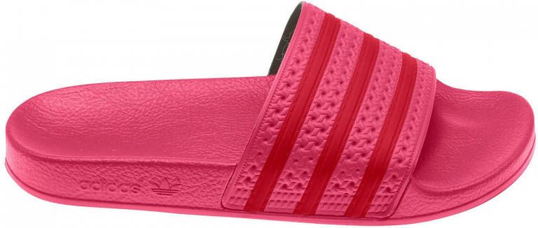 Praten Kwaadaardige tumor Voorvoegsel Adidas Originals Adilette badslippers roze rood - Schoenen.nl