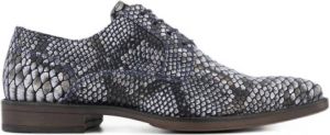 AM SHOE leren veterschoenen met slangenprint grijs