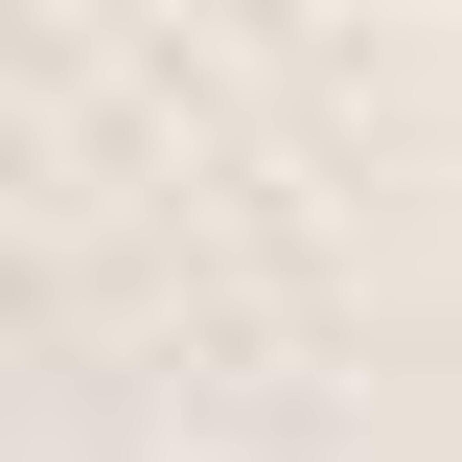 America Today Vinnie Jr Sloffen