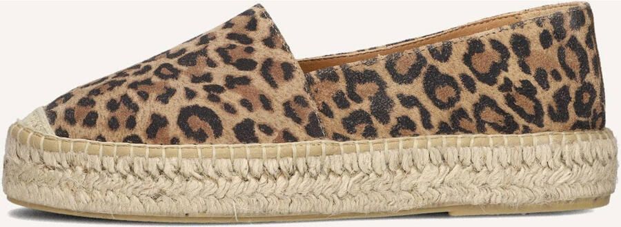 AYANA Espadrilles Dames Omo25yu815 Suède Bruin - Foto 3