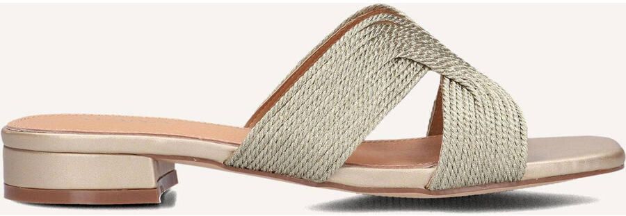 AYANA Slippers Dames 0677-1 Maat: 39 Materiaal: Raffia Kleur: Goud - Foto 2