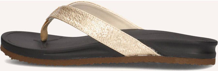BLASZ Gouden Slippers Bella 2402 - Foto 2