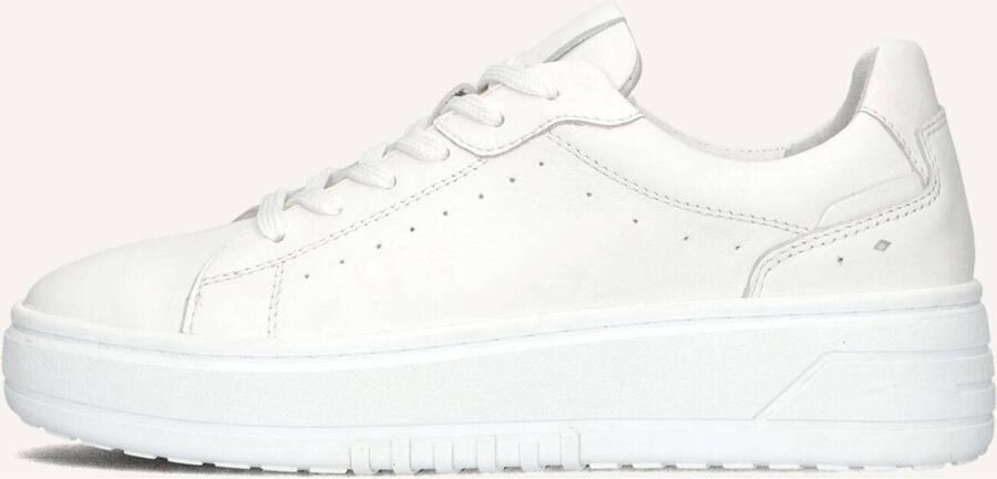 BLASZ Lage Sneakers Dames Anemone-02 Leer Wit