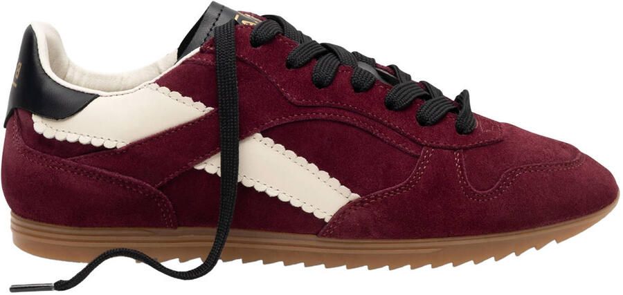 Boax Studio -Dames bordeaux sneakers