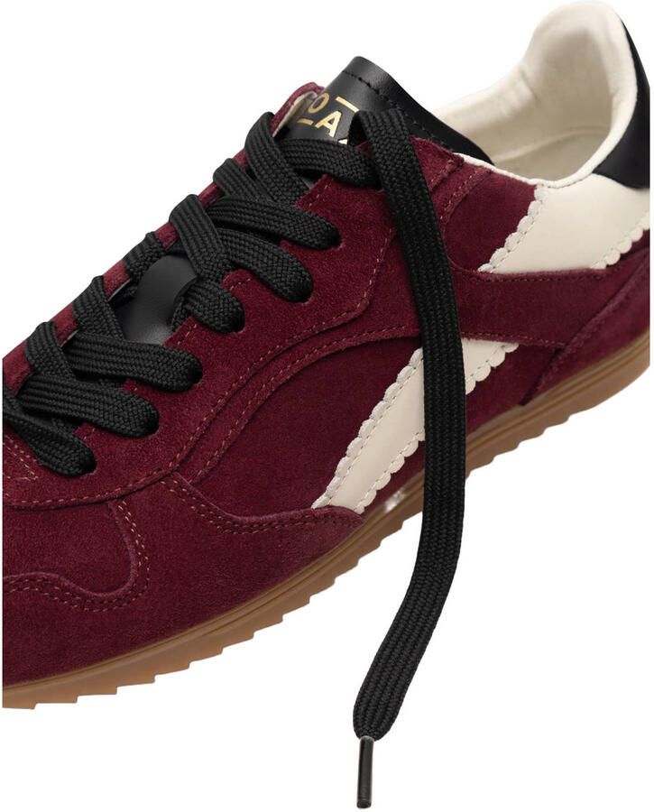 Boax Studio -Dames bordeaux sneakers - Foto 2