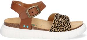 BunniesJR Bunnies JR 223423-513 Meisjes Sandalen Bruin Print Imitatieleer Gesp