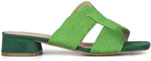 POSH by Poelman Clara muiltjes groen