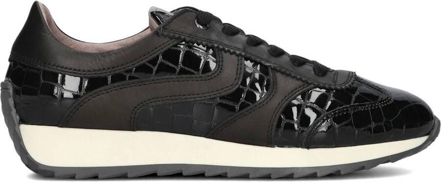 DL SPORT Lage Sneakers Dames 6745 Lakleer Zwart