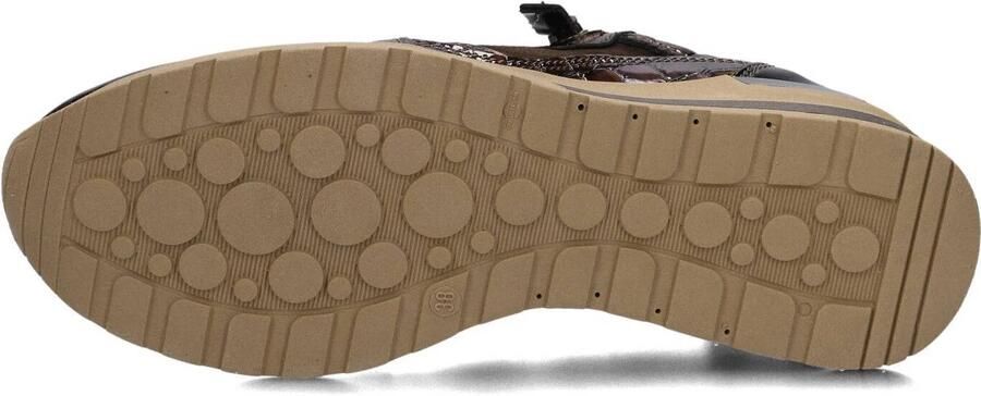 DL SPORT Lage Sneakers Dames 7164 Suède Bruin - Foto 3