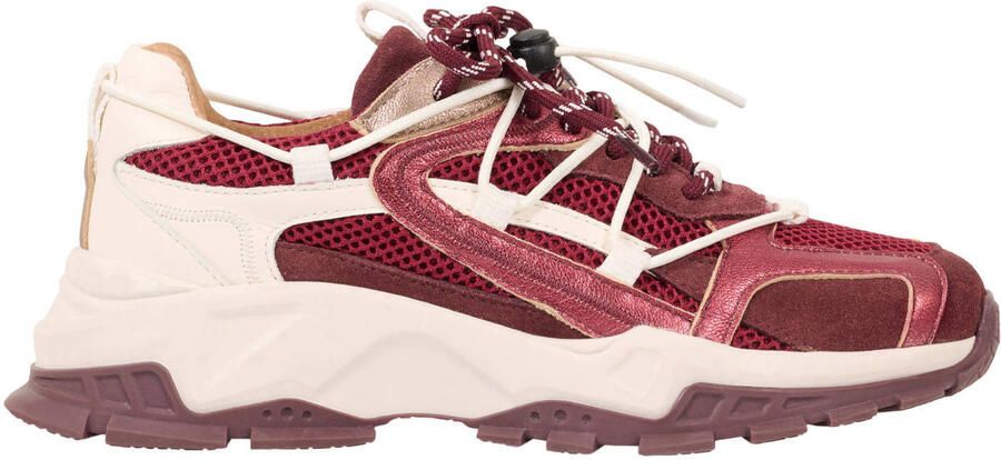 Dwrs Isola B11443-05-4577 Bordeaux Rood Wit - Foto 3