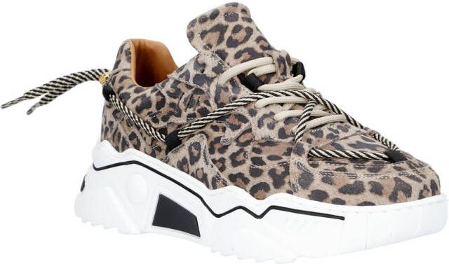 DWRS LABEL DWRS Jupiter leopard sneakers Beige Leer Lage sneakers Dames