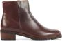 EVERYBODY Enkellaarsjes Dames 11654 Maat: 42 Materiaal: Leer Kleur: Bruin - Thumbnail 2