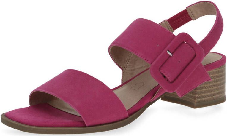 Caprice SIENA suède sandalette fuchsia