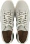 Blackstone Morgan low Sand Sneaker (mid) Man Light brown - Thumbnail 6