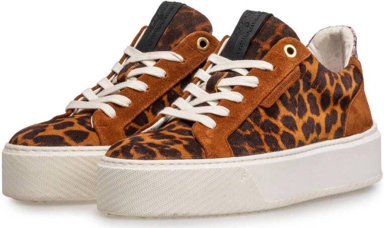 Floris van Bommel Winni 01.10 suède sneakers met panterprint cognac