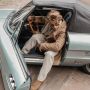 HABOOB Chelsea Boots Heren Liam Maat: 46 Materiaal: Suède Kleur: Camel - Thumbnail 8