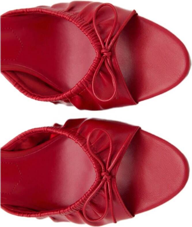 Mango muiltjes rood