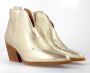 Red-Rag 75006 Volwassenen Cowboylaarzen Metallics - Thumbnail 10