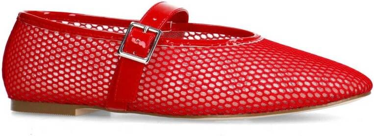 Sacha ballerina's rood
