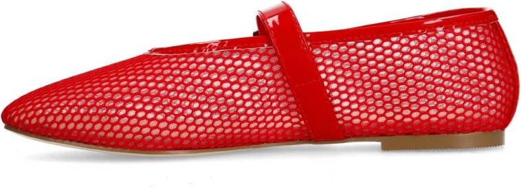 Sacha ballerina's rood
