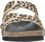 Scholl Footwear Bruin Footwear Noelle Sandalen Bruin F30067 - Thumbnail 3