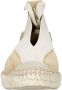 Shabbies Amsterdam Shabbies Palma Espadrilles Zomer Schoenen Dames Bruin - Thumbnail 8