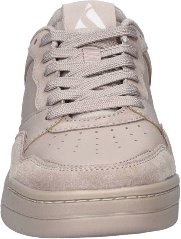 Skechers Koopa Volley sneakers taupe