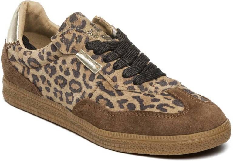 Steve Madden Emporia suède sneakers met panterprint beige bruin