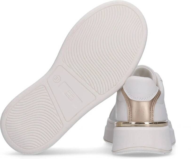 Tommy Hilfiger sneakers wit