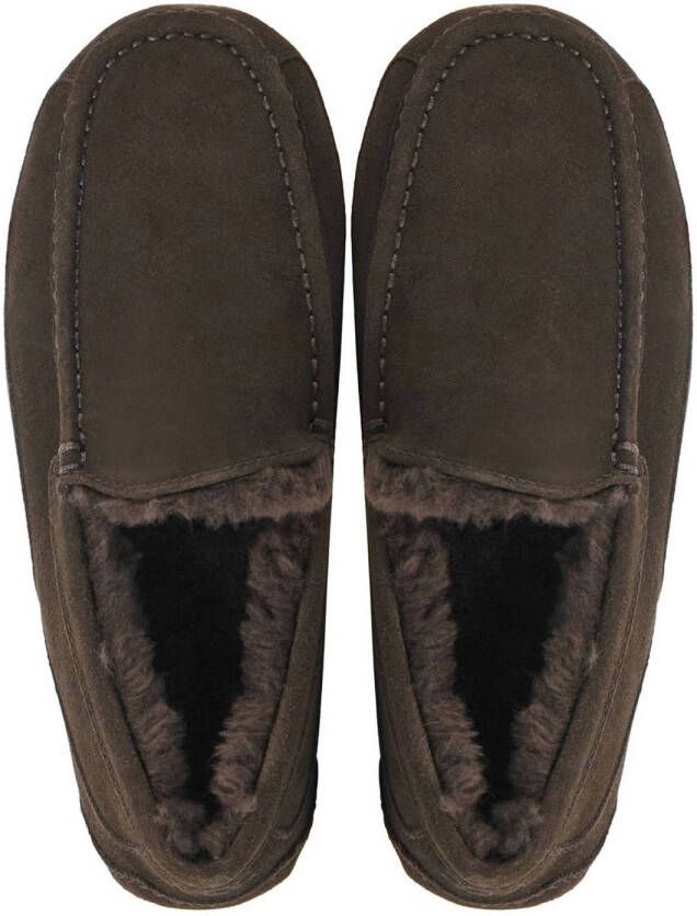 UGG Ascot suède pantoffels bruin