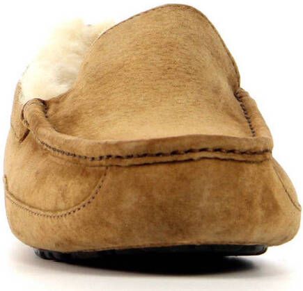 UGG Ascot suède pantoffels cognac