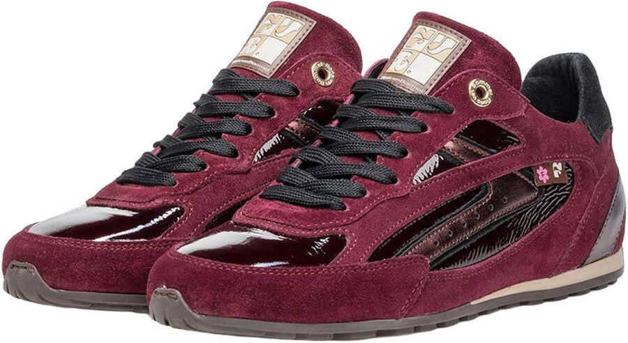 Floris van Bommel Illvi 01.05 leren sneakers aubergine - Foto 2