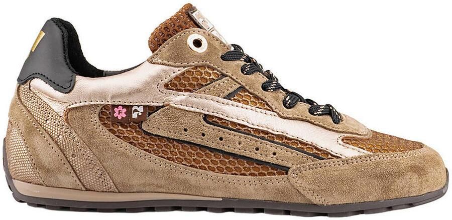 Floris van Bommel ILLVI 01.02 Lage sneakers Dames sneakers Wit beige