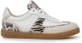 Floris van Bommel Sfw-10169 Minni Sneakers Dames Leren Sneaker Wit - Wit