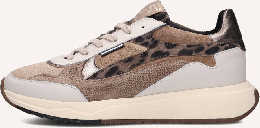 FLORIS VAN BOMMEL Lage Sneakers Dames Sfw-10159 Suvi Leer Beige - Foto 3