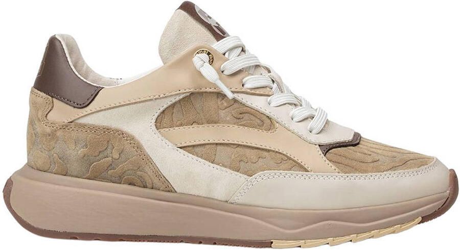 Floris van Bommel Suvi 02.27 leren sneakers taupe
