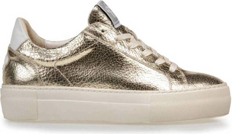 Floris van Bommel Vinni 05.35 leren sneakers goud