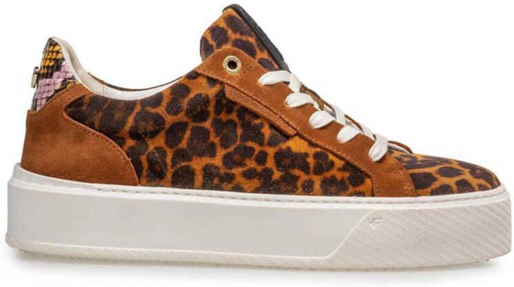 Floris van Bommel Winni 01.10 suède sneakers met panterprint cognac