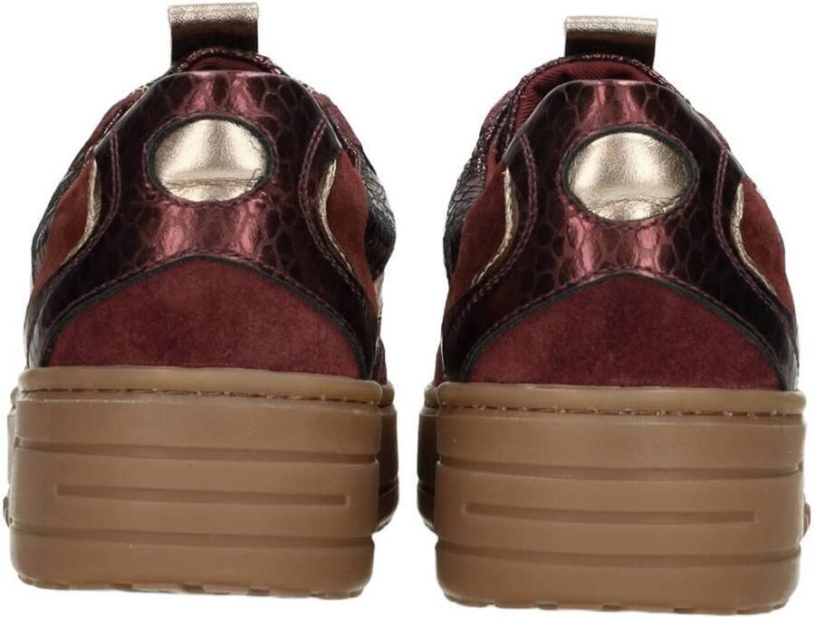 Haboob Sneakers laag ' AURELIE Damen Sneaker' bordeaux - Foto 2