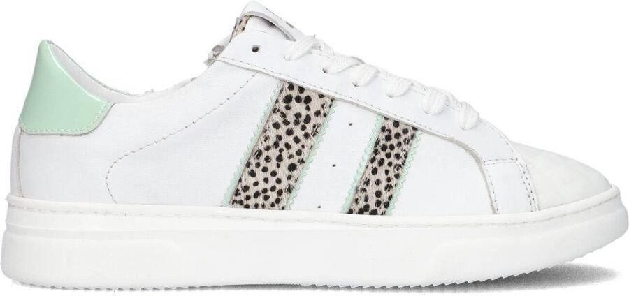 Hip H1610 Lage sneakers Leren Sneaker Meisjes Kids Wit