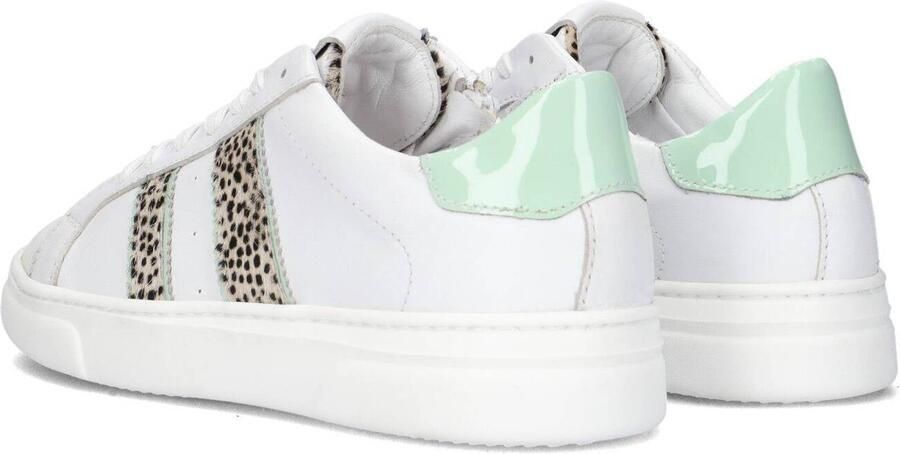 Hip H1610 Lage sneakers Leren Sneaker Meisjes Kids Wit - Foto 3