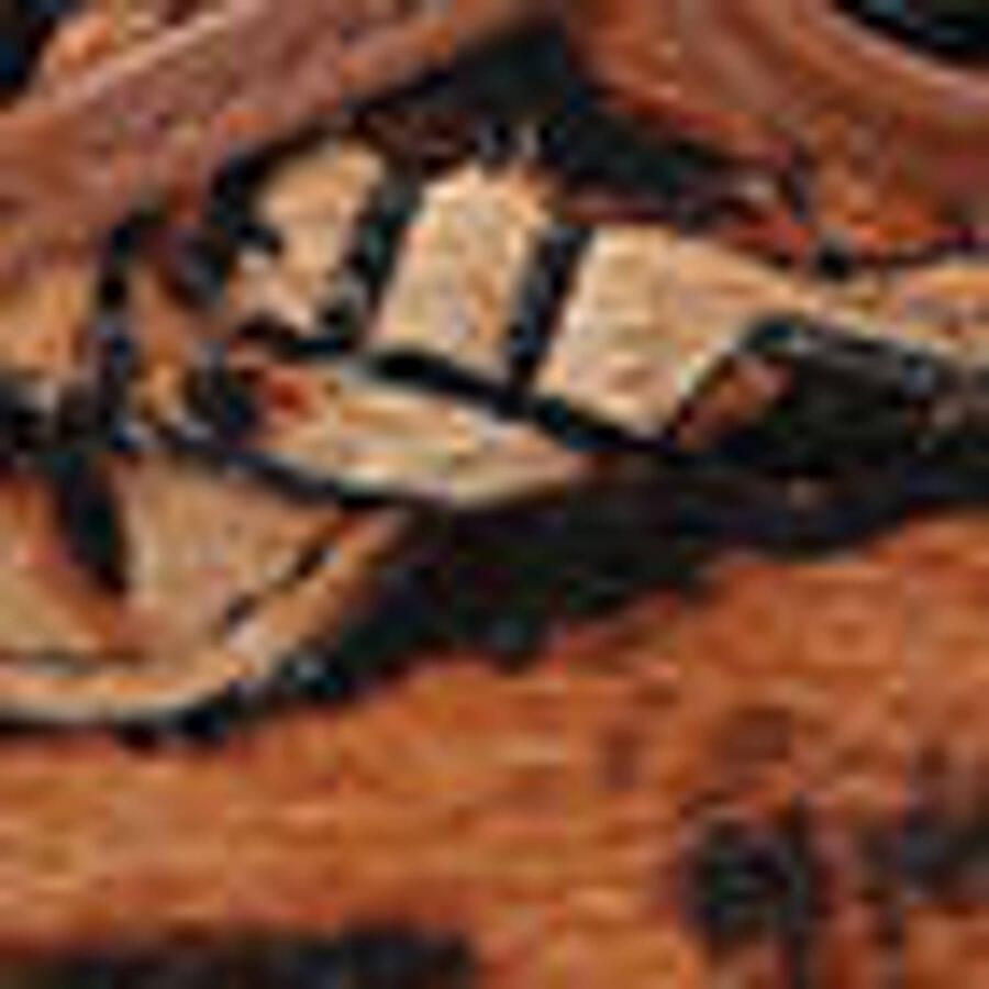 Kurt Geiger Eagle mocassins met panterprint cognac - Foto 2