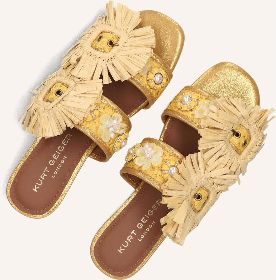 Kurt Geiger London Raffia Buckle Flat Sdl Slippers Dames Goudkleurig - Foto 5